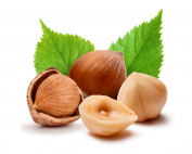 HAZELNUT OIL 100% Organic cold-pressed