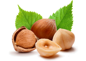 HAZELNUT OIL 100% Organic cold-pressed