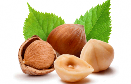 HAZELNUT OIL 100% Organic cold-pressed