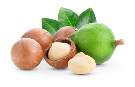 MACADAMIA OIL