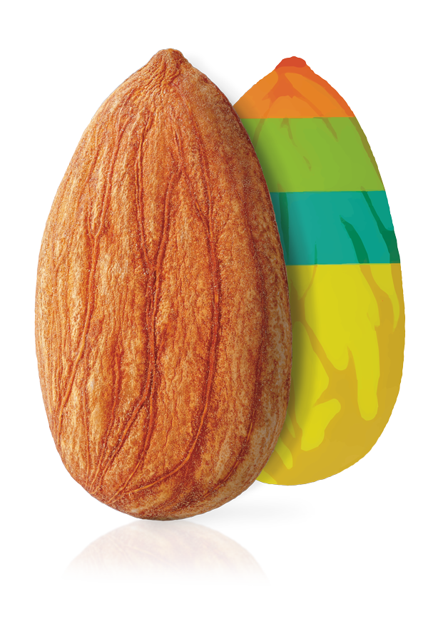 seme-mandorla-proteins flours-oil-protein powders-flour-bitters