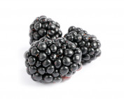 Blackberry oil vegetable parodi nutra