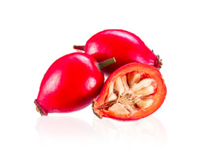 vegetable oil rosehip parodi nutra