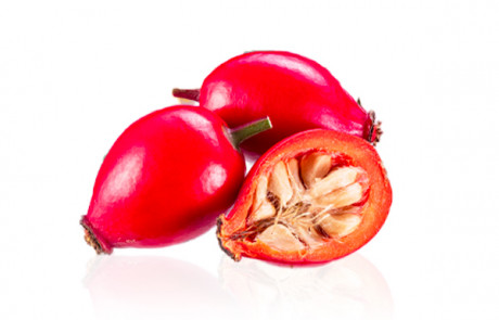 vegetable oil rosehip parodi nutra