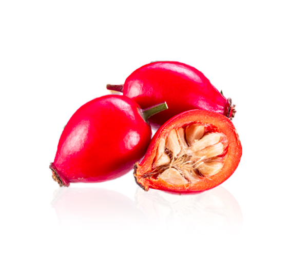 Rosa-ribiginosa-oil-parodi-nutra vegetable oil rosehip