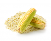 organic-oil-seed-MAIZE-GERM