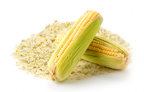 organic oil seed MAIZE GERM